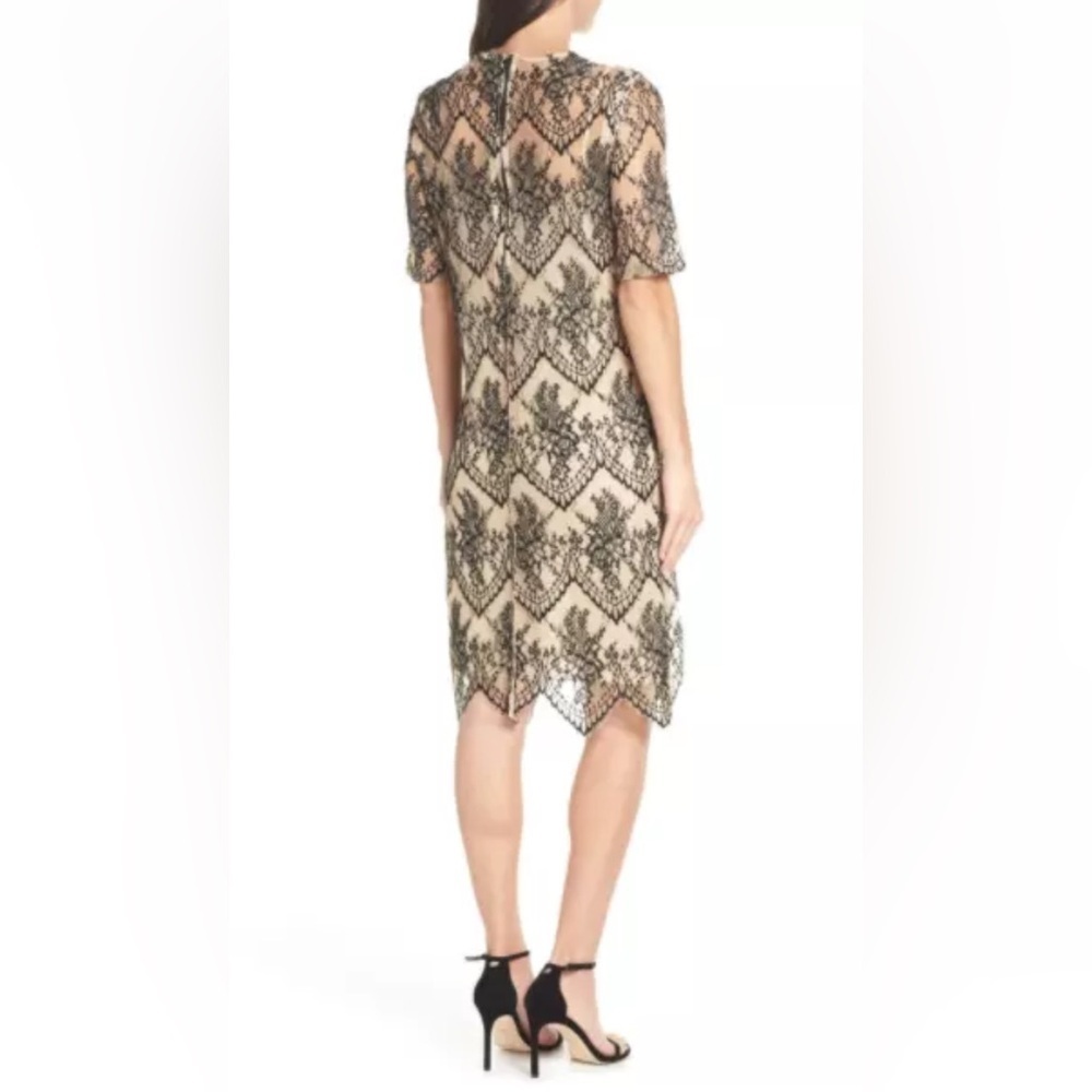 CAARA Nordstrom Scallopd Lace Shift Dress Black Beige Holiday Party Wedding Sz M - Picture 2 of 14